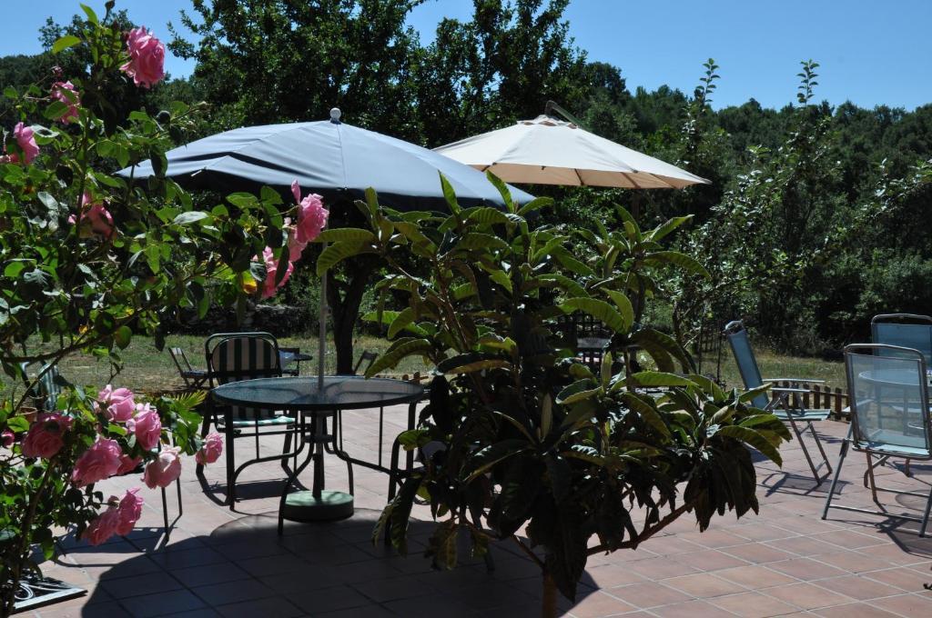 Hotel Rural Aguallevada Paramio Dış mekan fotoğraf